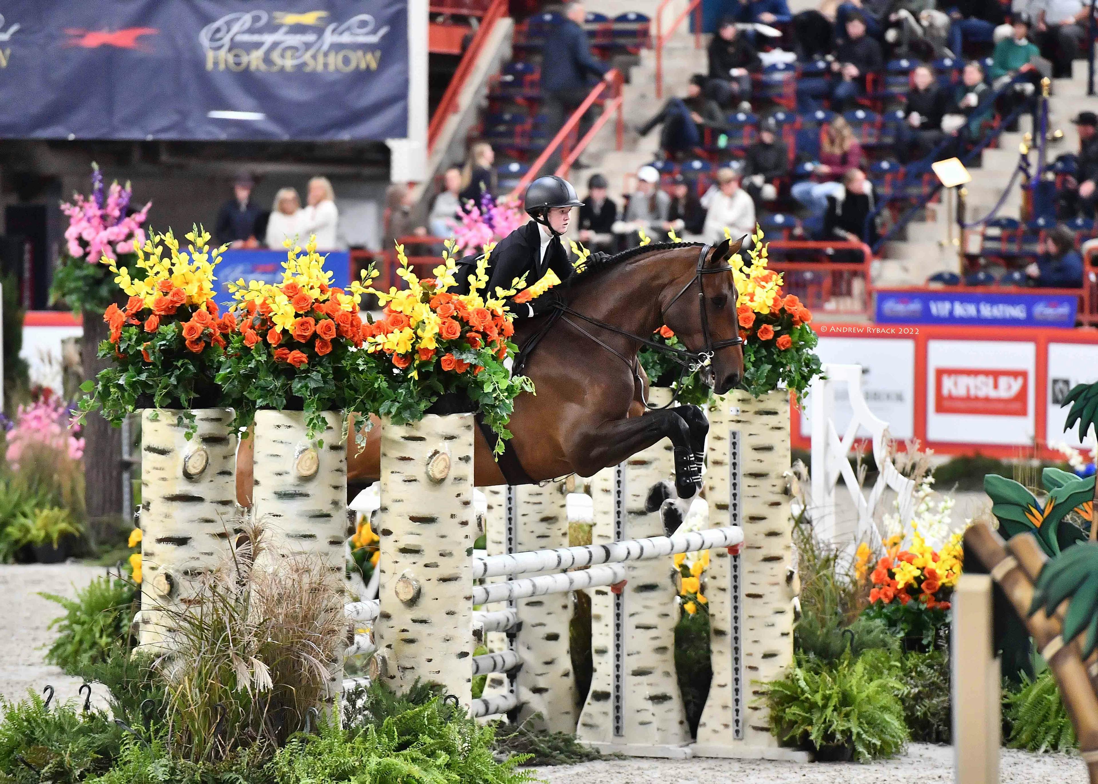 Katie on her horse, jumping over an obstacle at an equestrian competition. Crowd in the background watching.